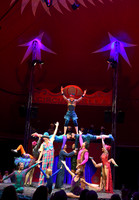 Circus Bella : Starlight