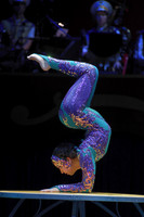 Elise: Contortion